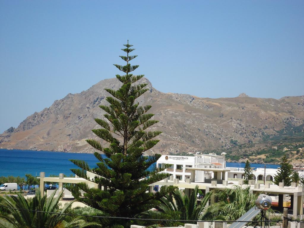 Daire Anemoni Plakias